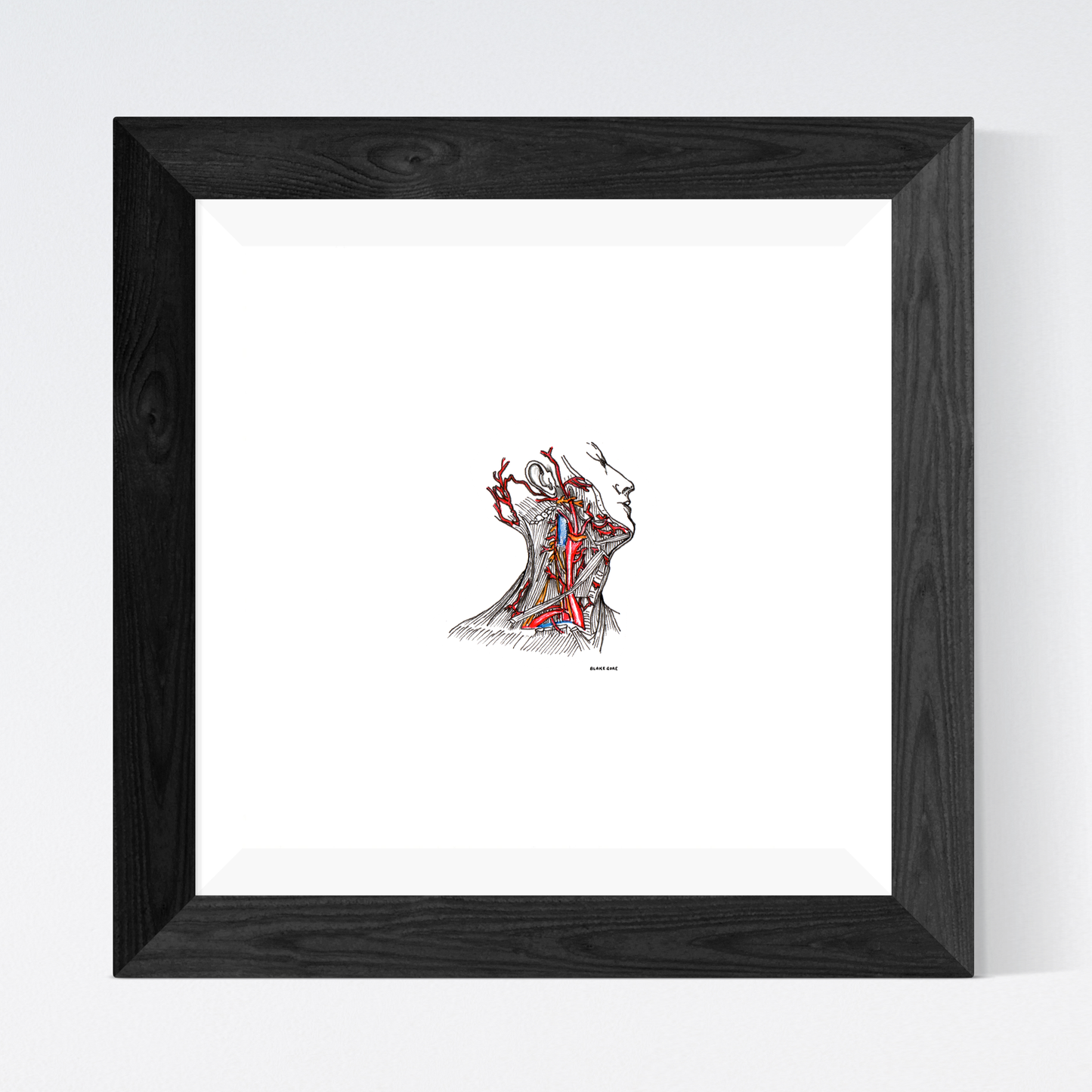 Head and Neck Anatomy Study from Gray's Anatomy (1858)