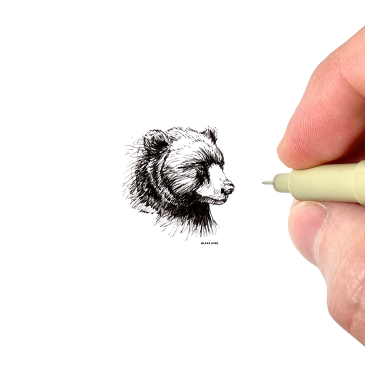 Bear