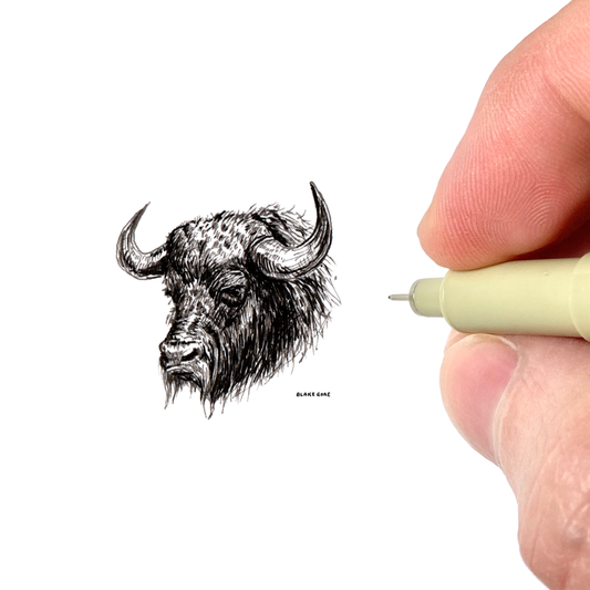 Buffalo