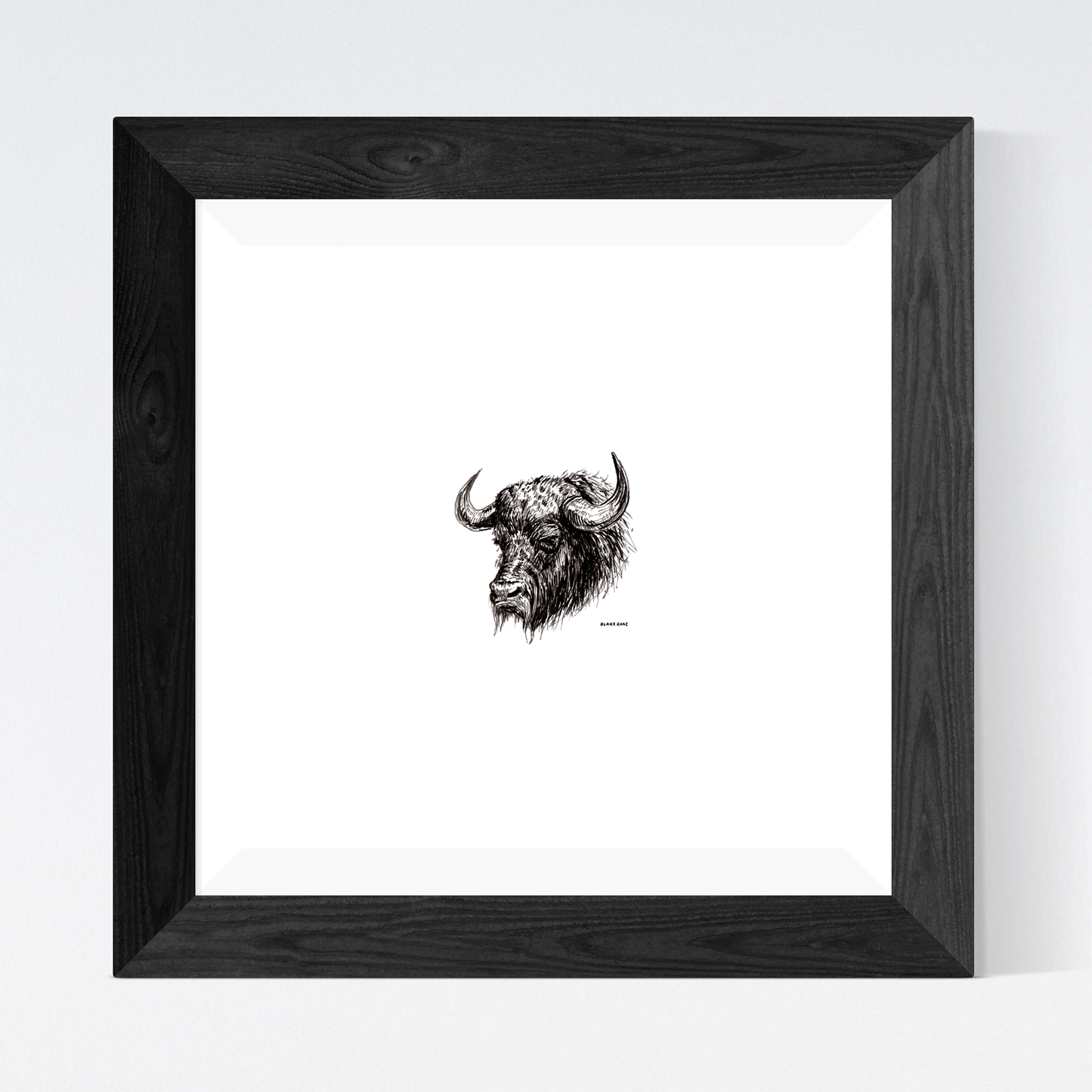 Buffalo