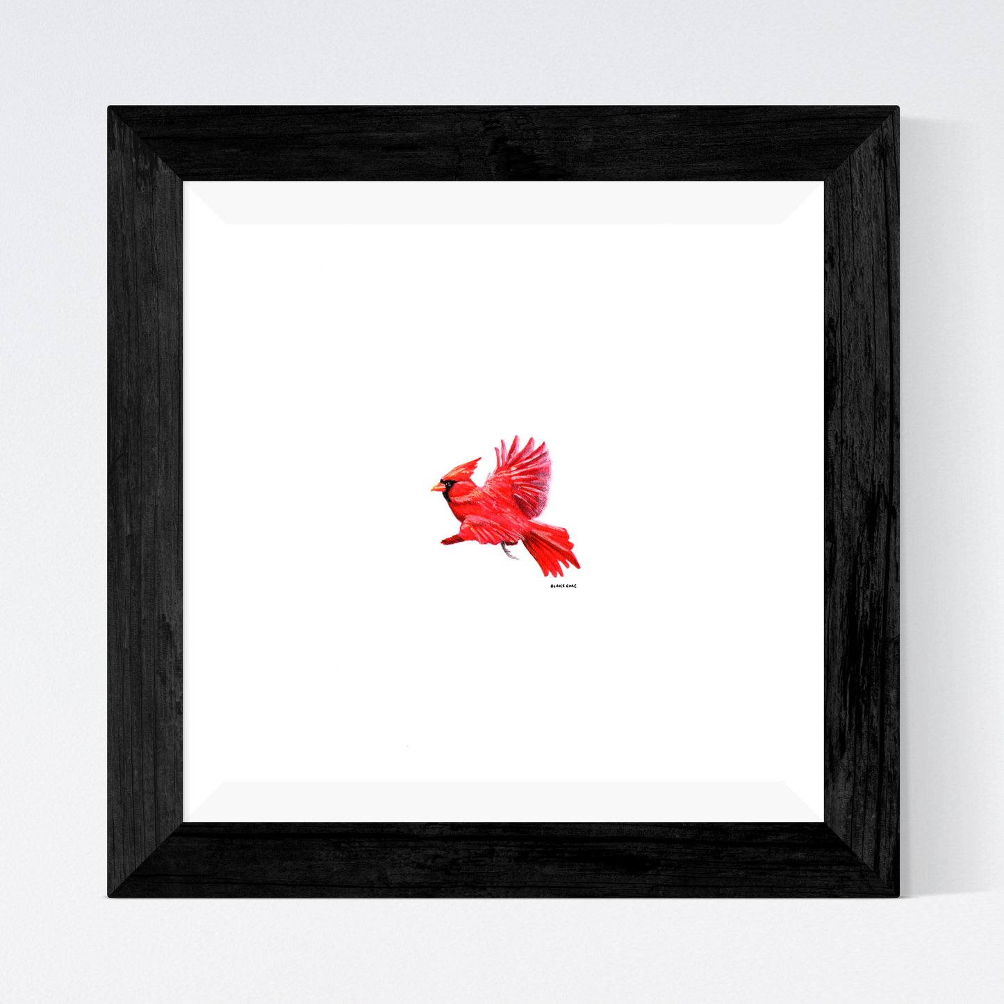 Cardinal