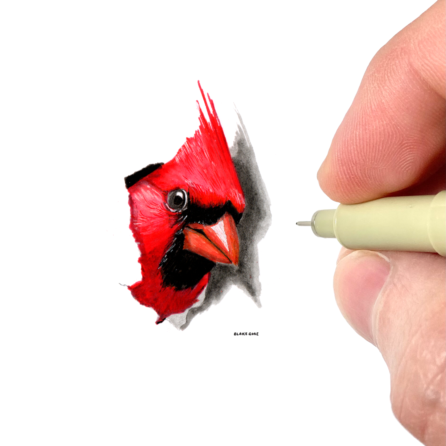 Cardinal (Original)