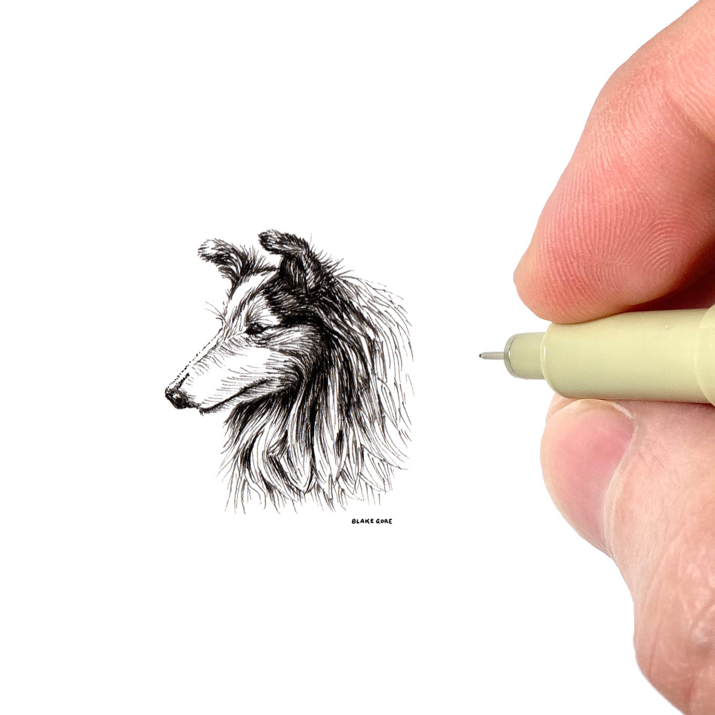 Collie (Original)