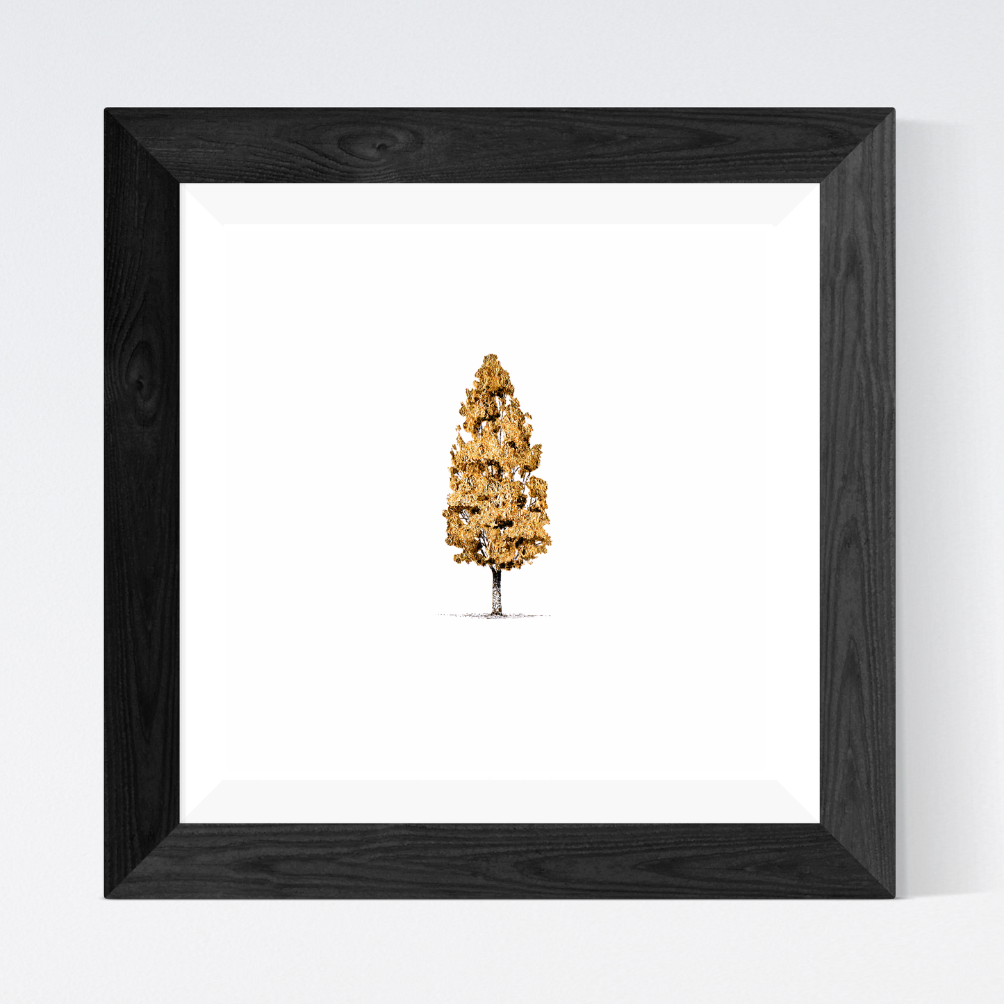 Golden Pillar Birch