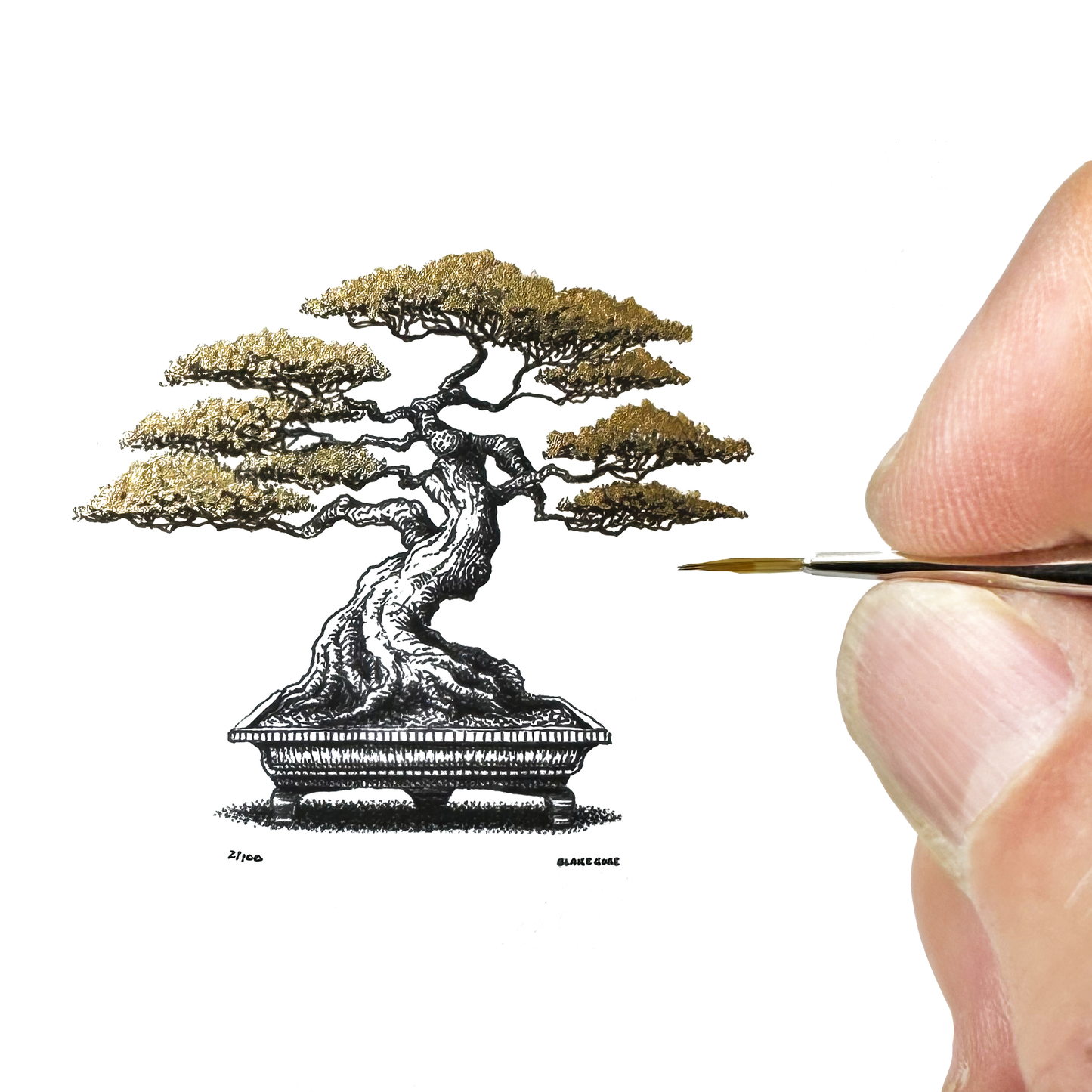 Golden Fall Series: Bonsai (Limited Edition)