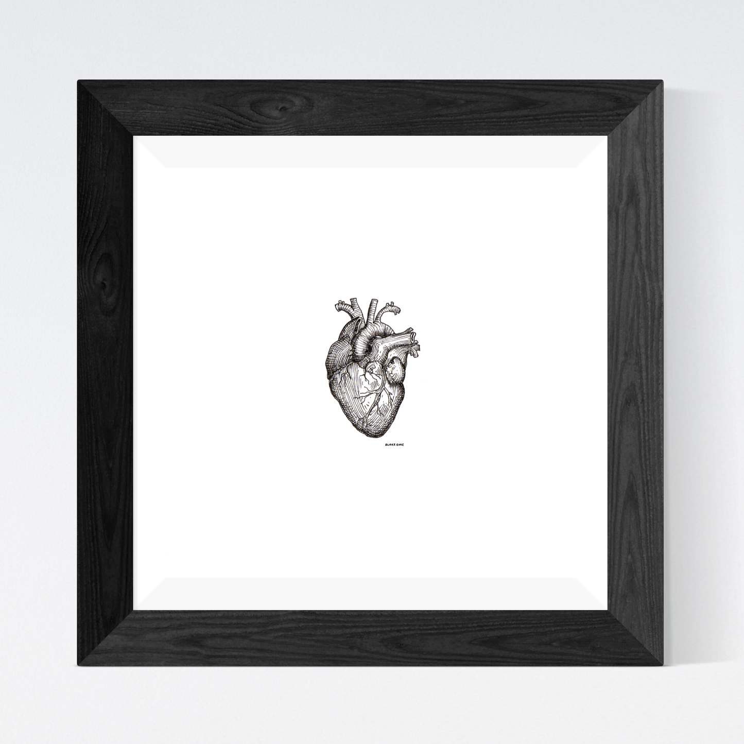 Heart Study from Gray's Anatomy (1858)
