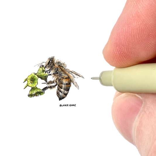 Honeybee