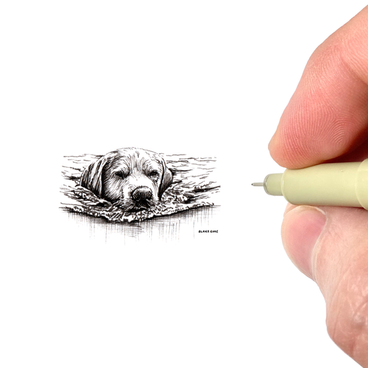 Good Boy