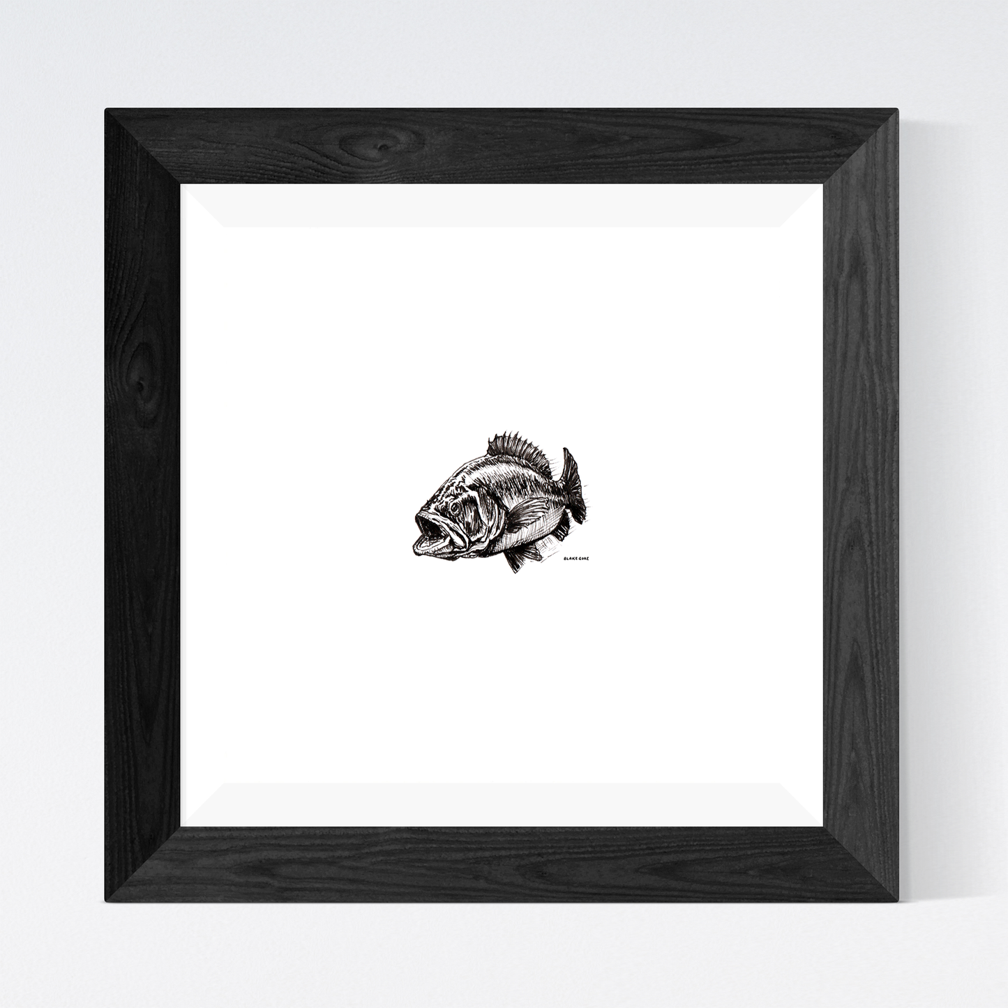 Largemouth Bass