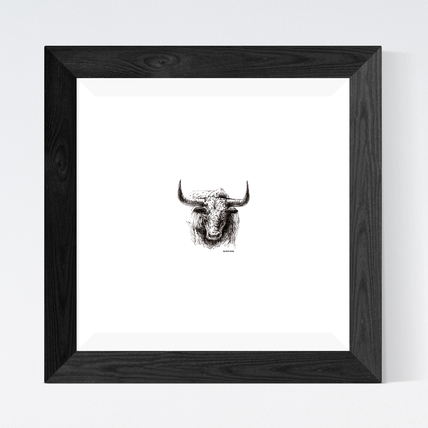 Longhorn