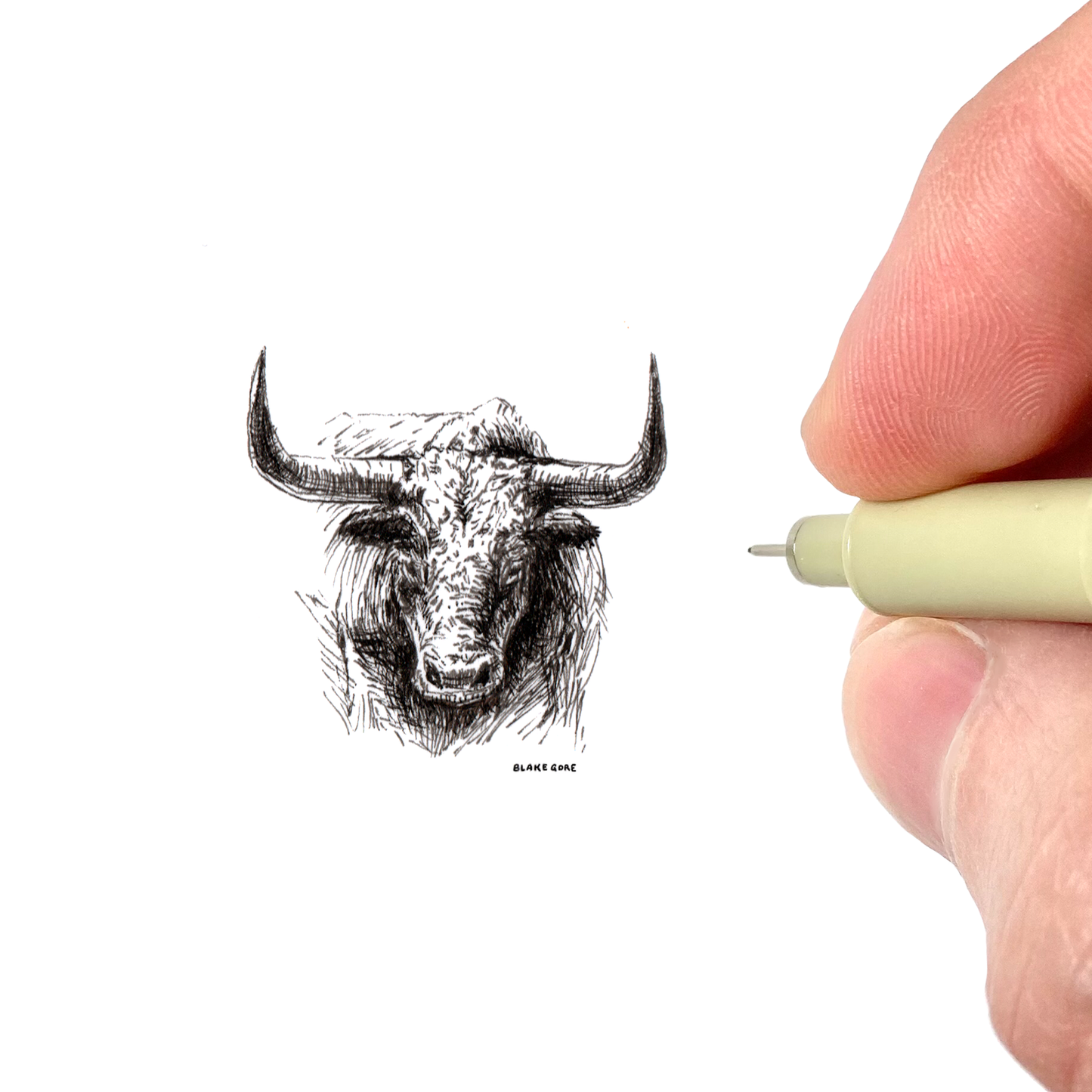 Longhorn (Original)