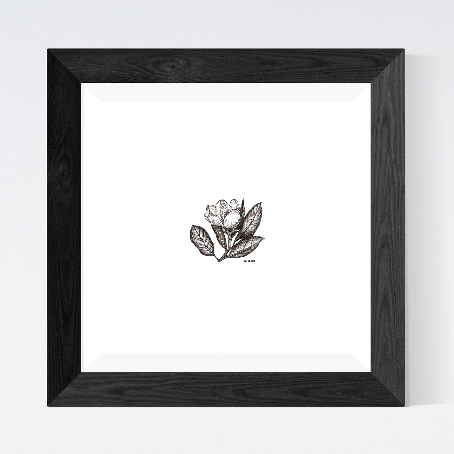 Magnolia Bloom