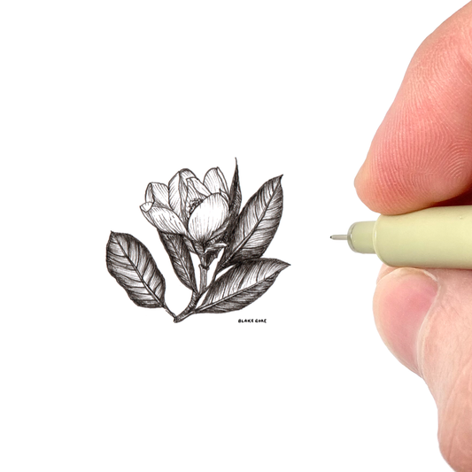 Magnolia Bloom