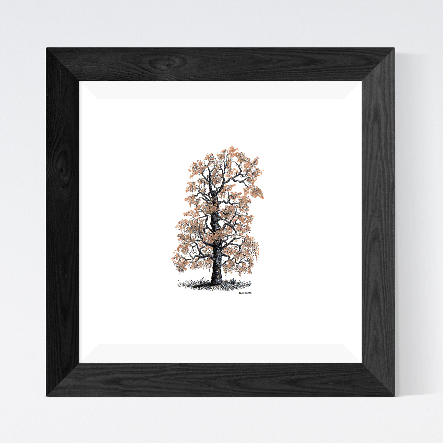 Golden Poplar