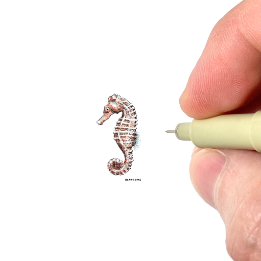 Seahorse