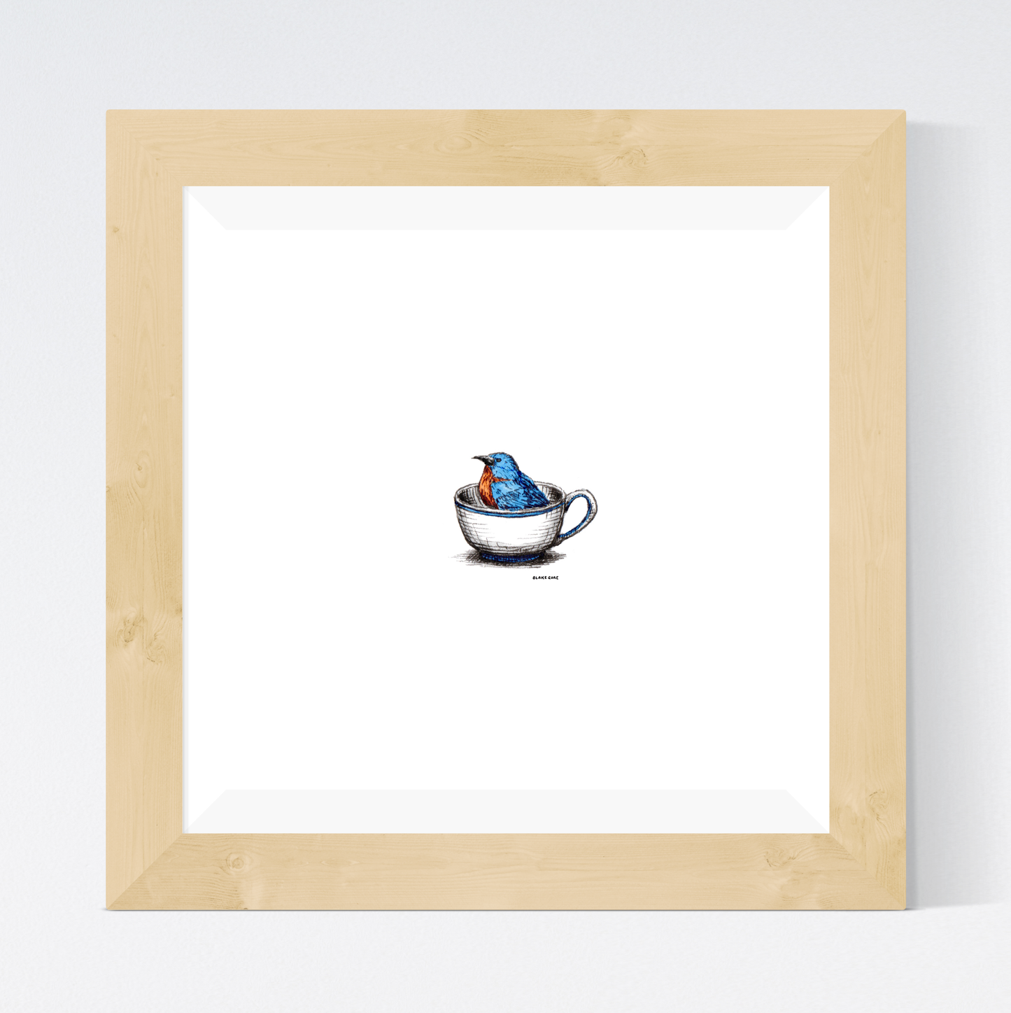 Teacup Bluebird