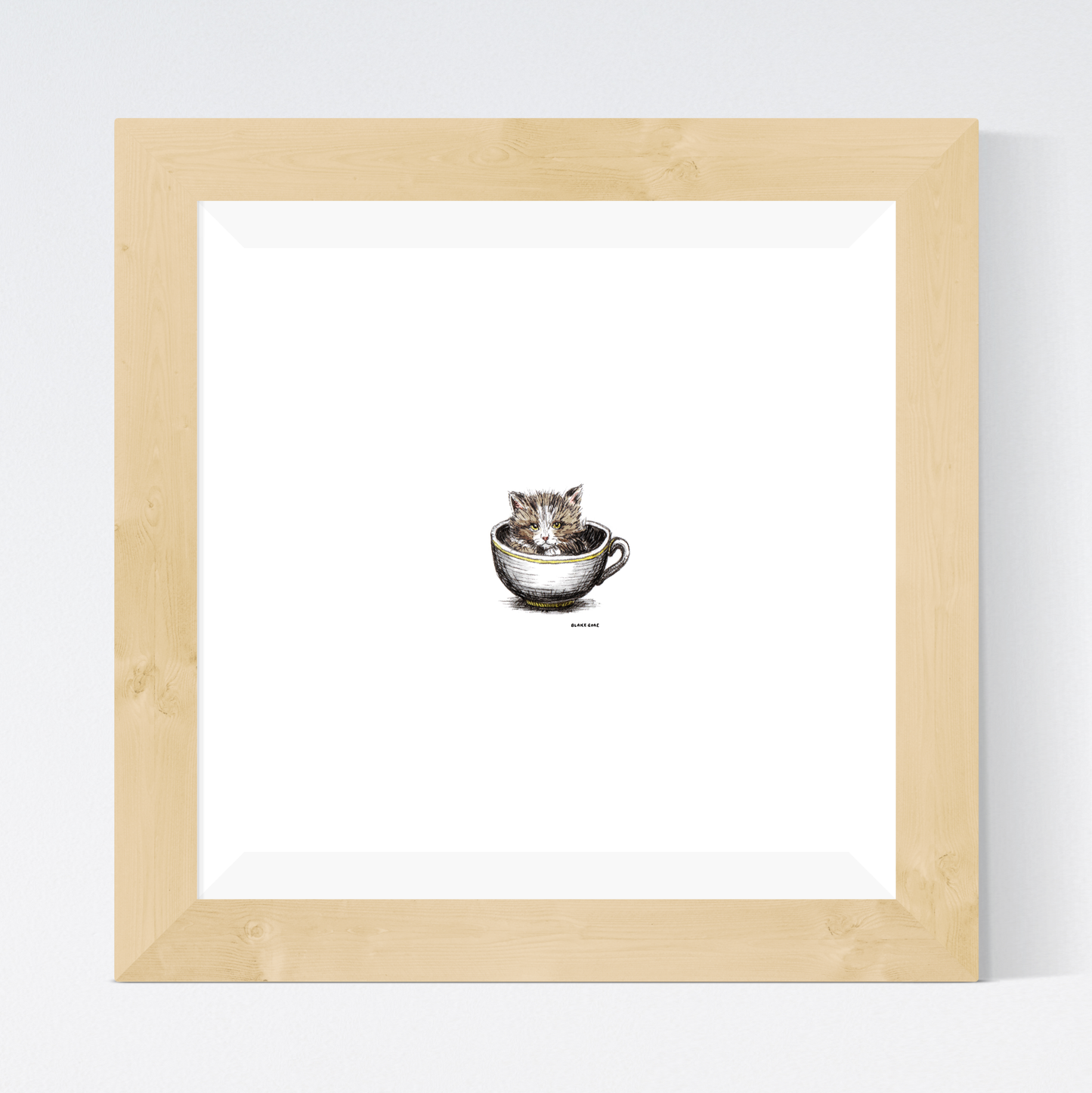 Teacup Kitten