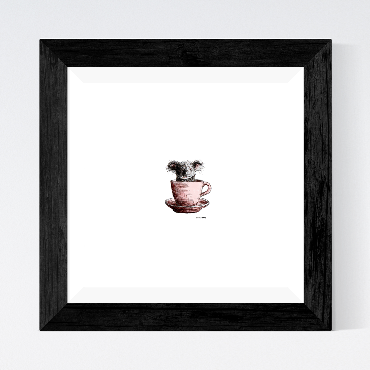 Teacup Koala