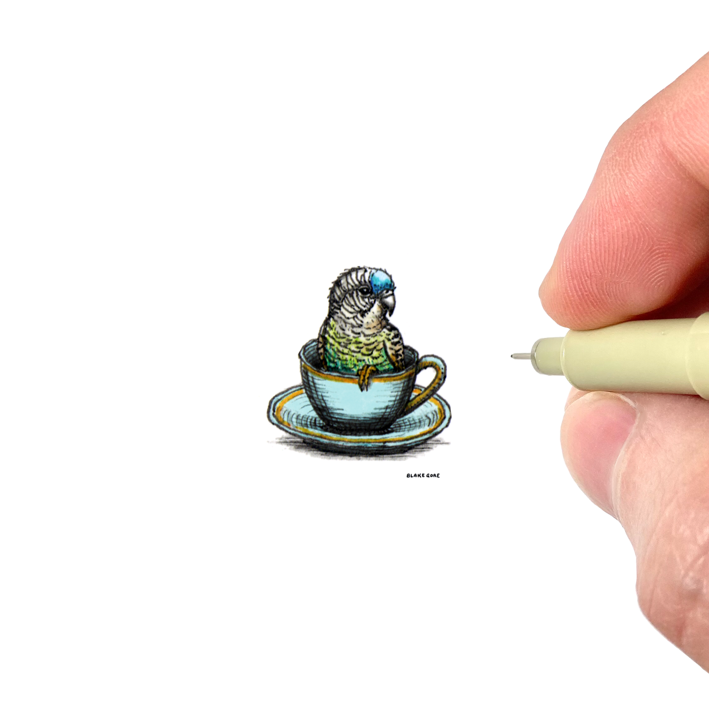 Teacup Parrot