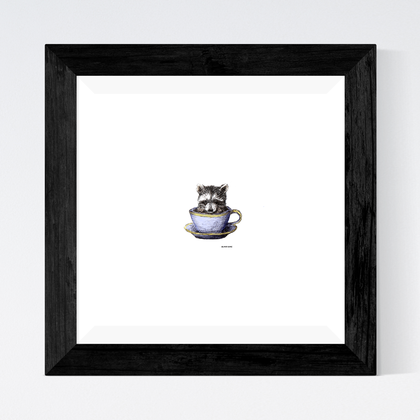 Teacup Racoon