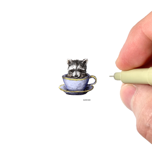 Teacup Racoon