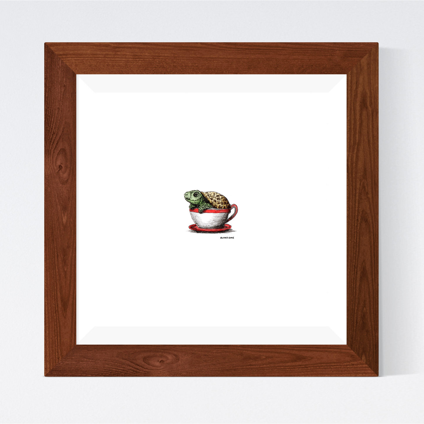 Teacup Turtle