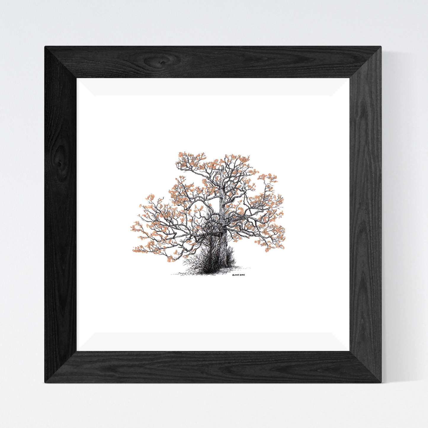 Golden White Oak
