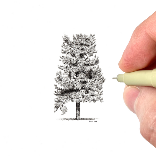 Alabama as a Pine
