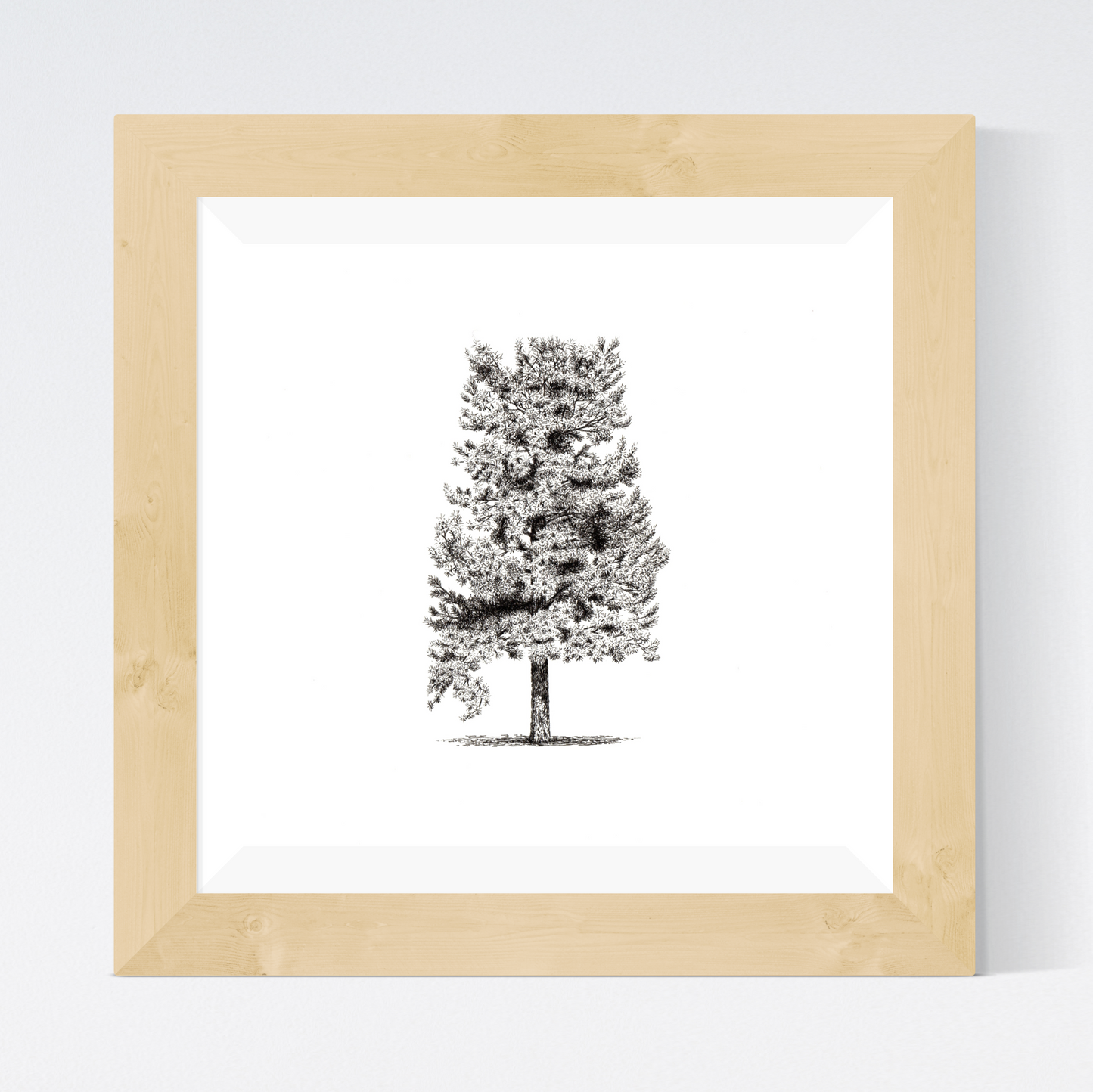 Alabama as a Pine