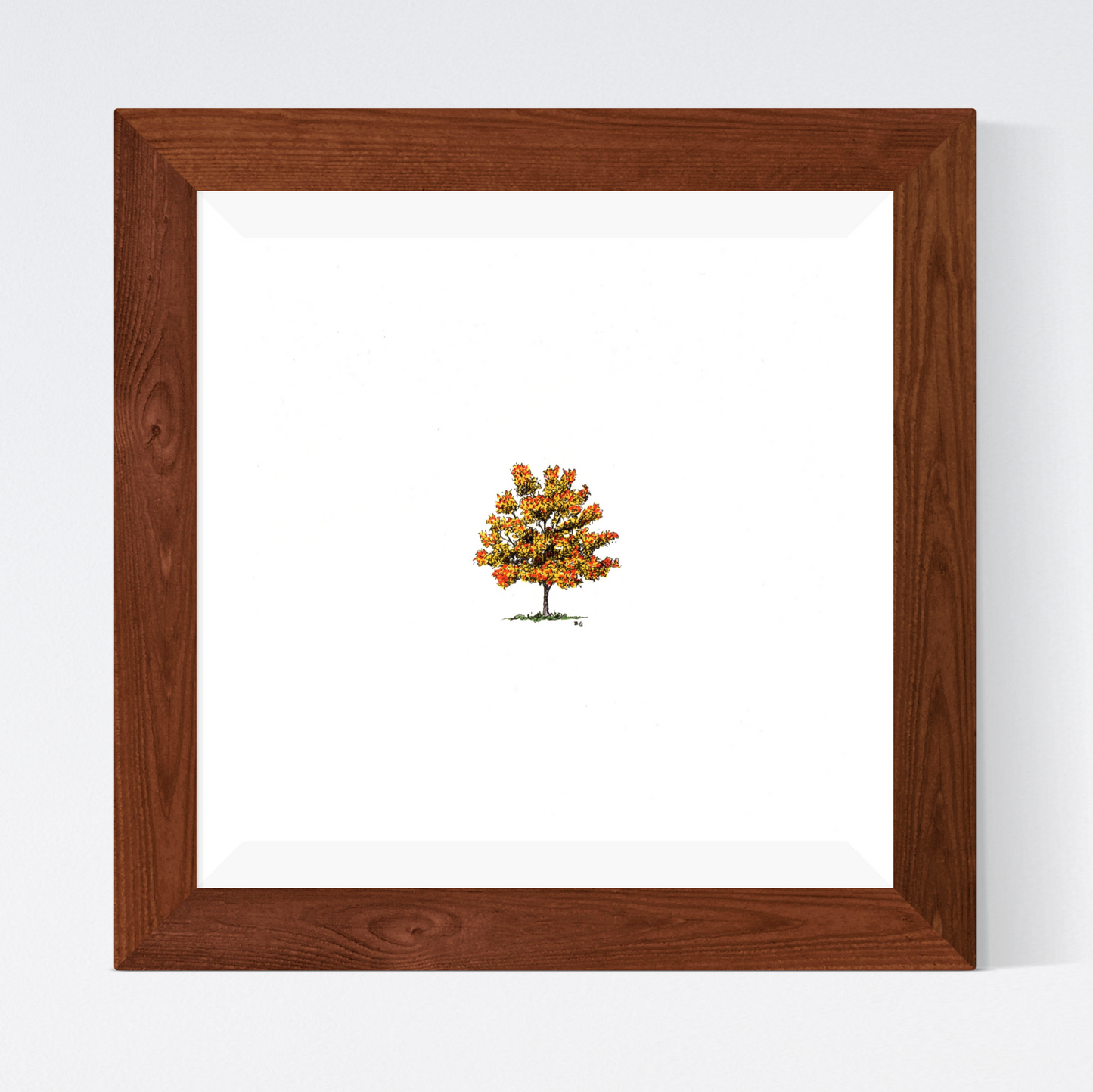 Autumn Tree