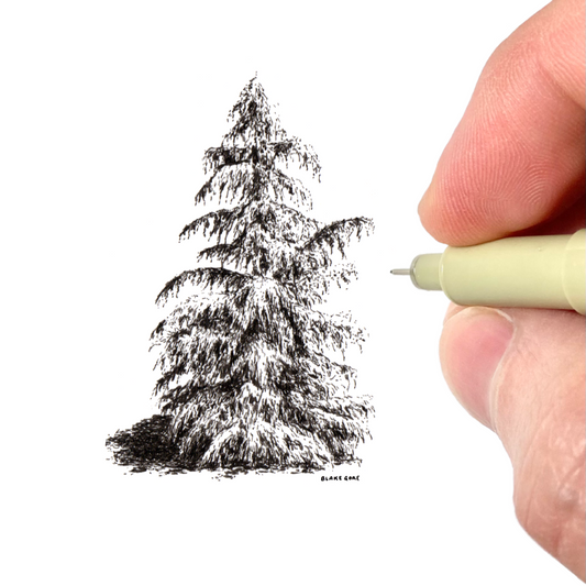 Cedar