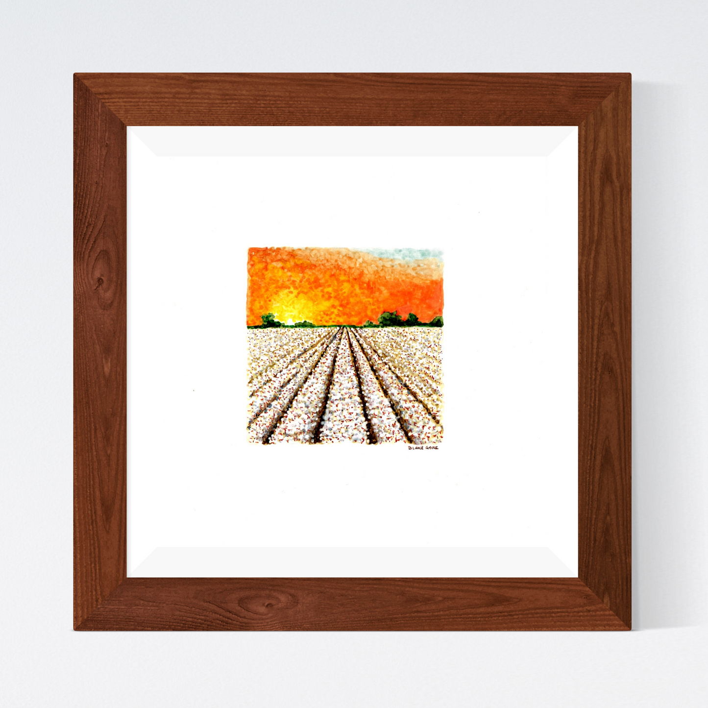 Cotton Field