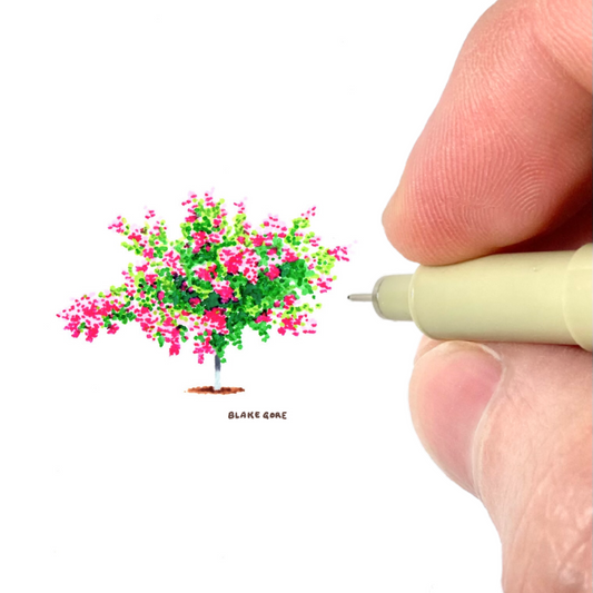 Crepe Myrtle