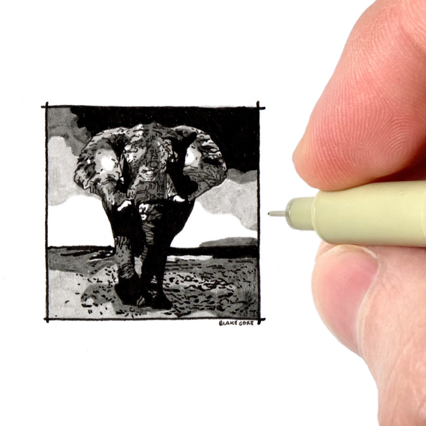 Elephant