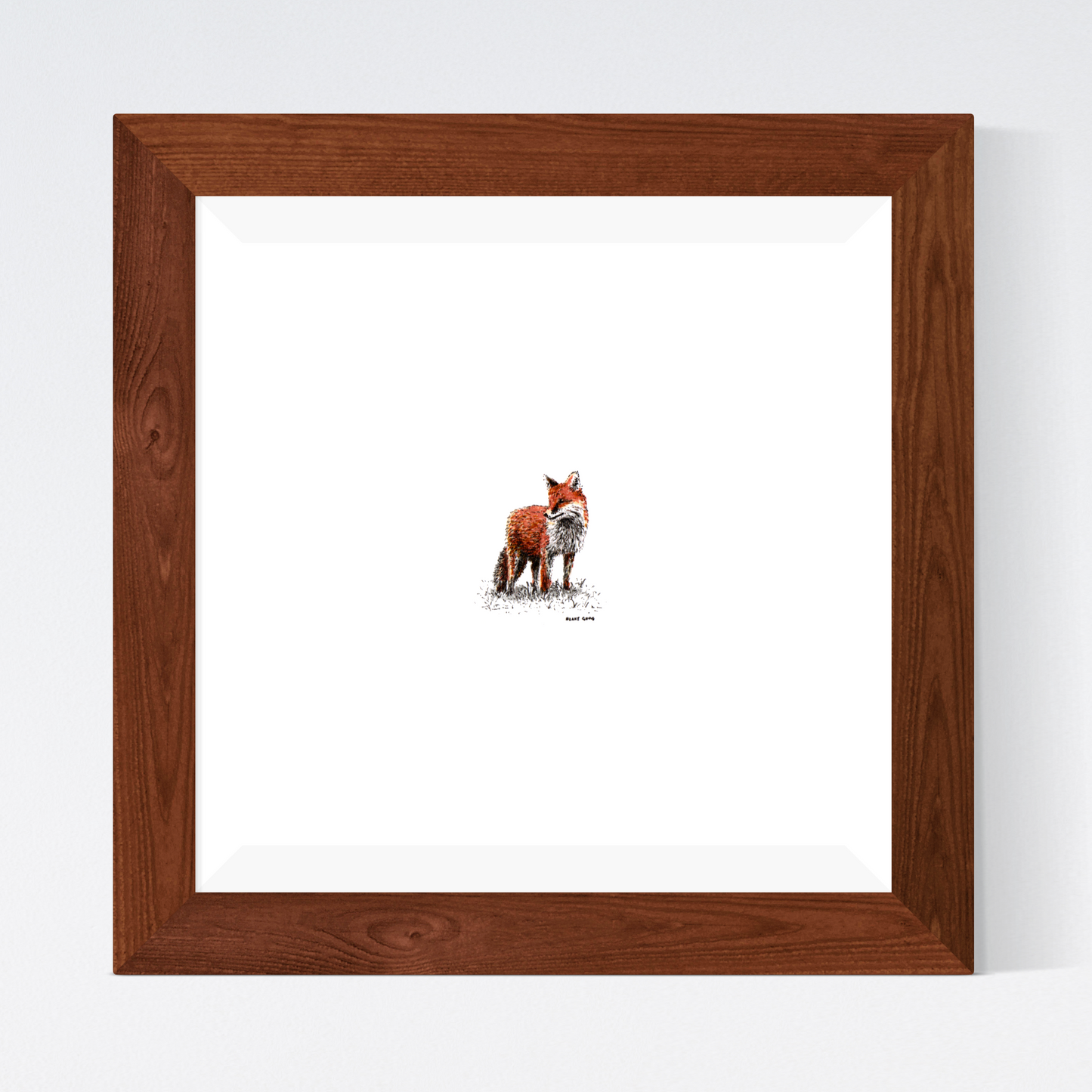 Fox
