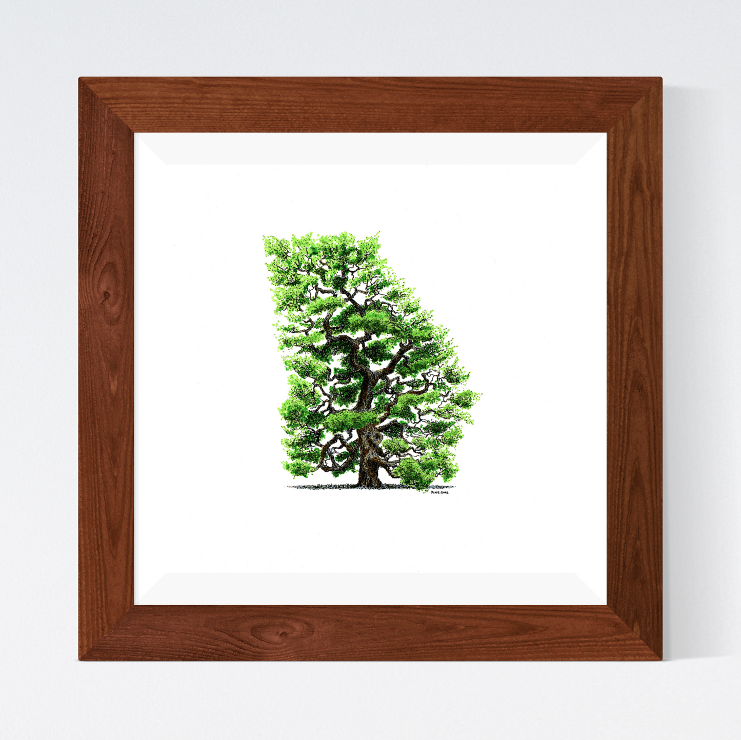 Georgia Live Oak (Color)