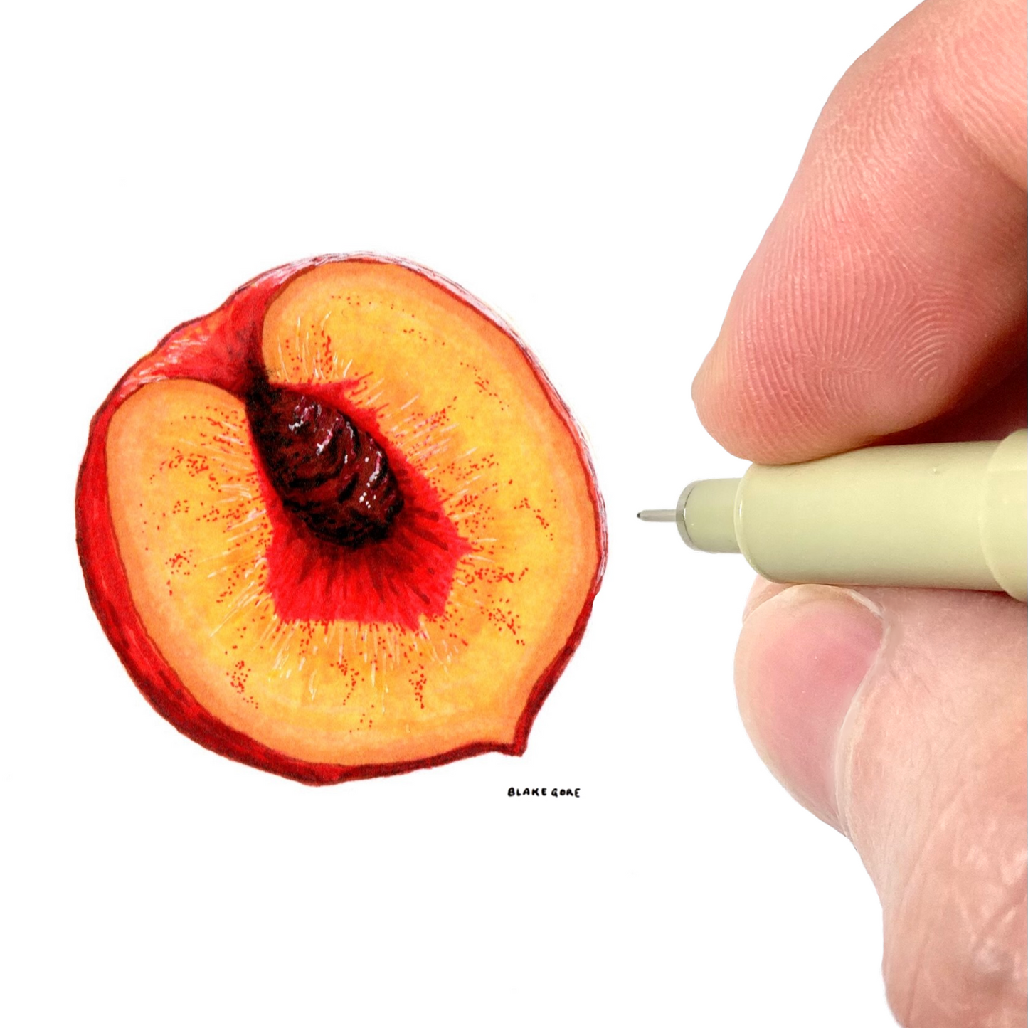 Georgia inside a Peach