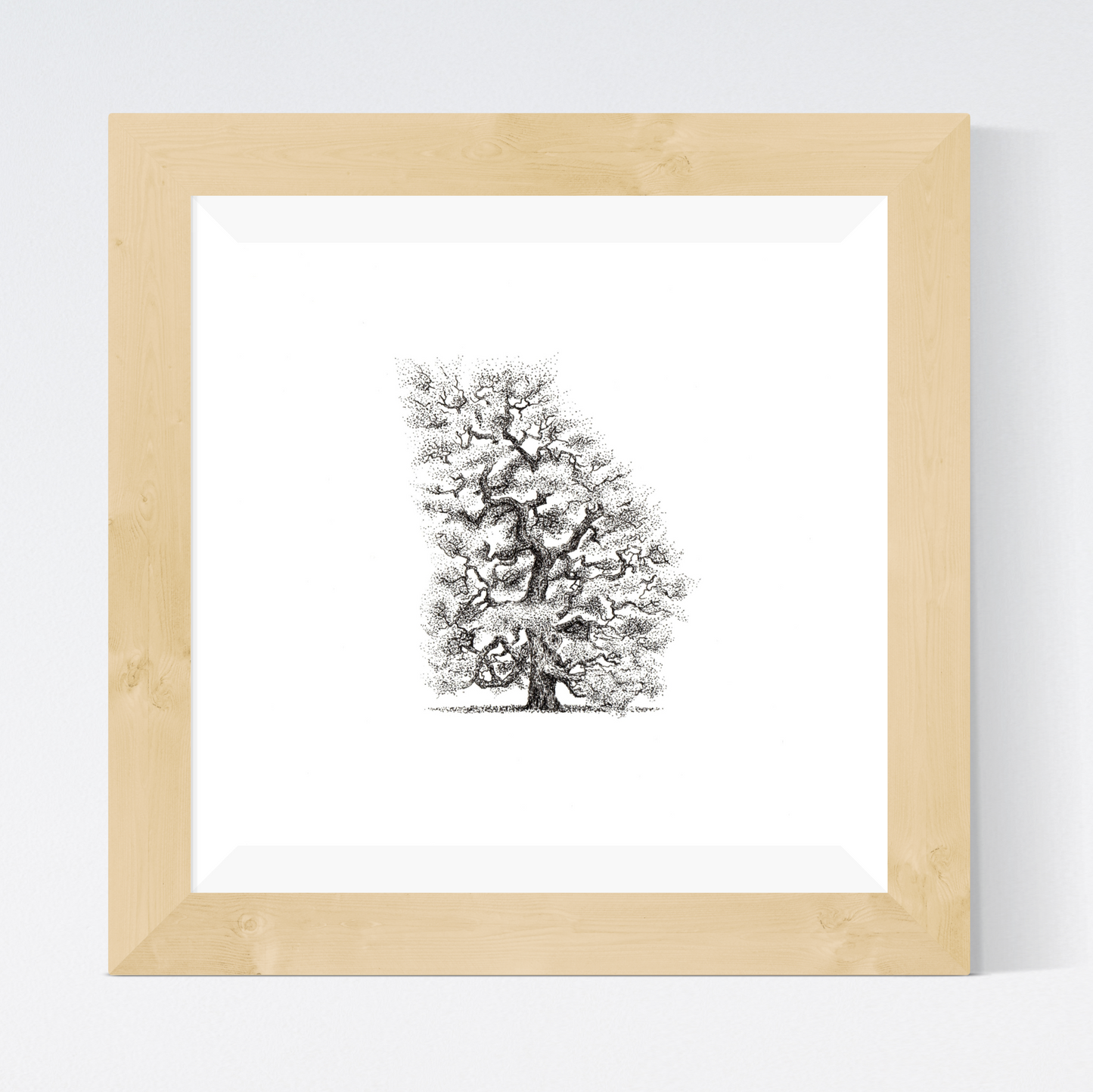 Georgia as a Live Oak