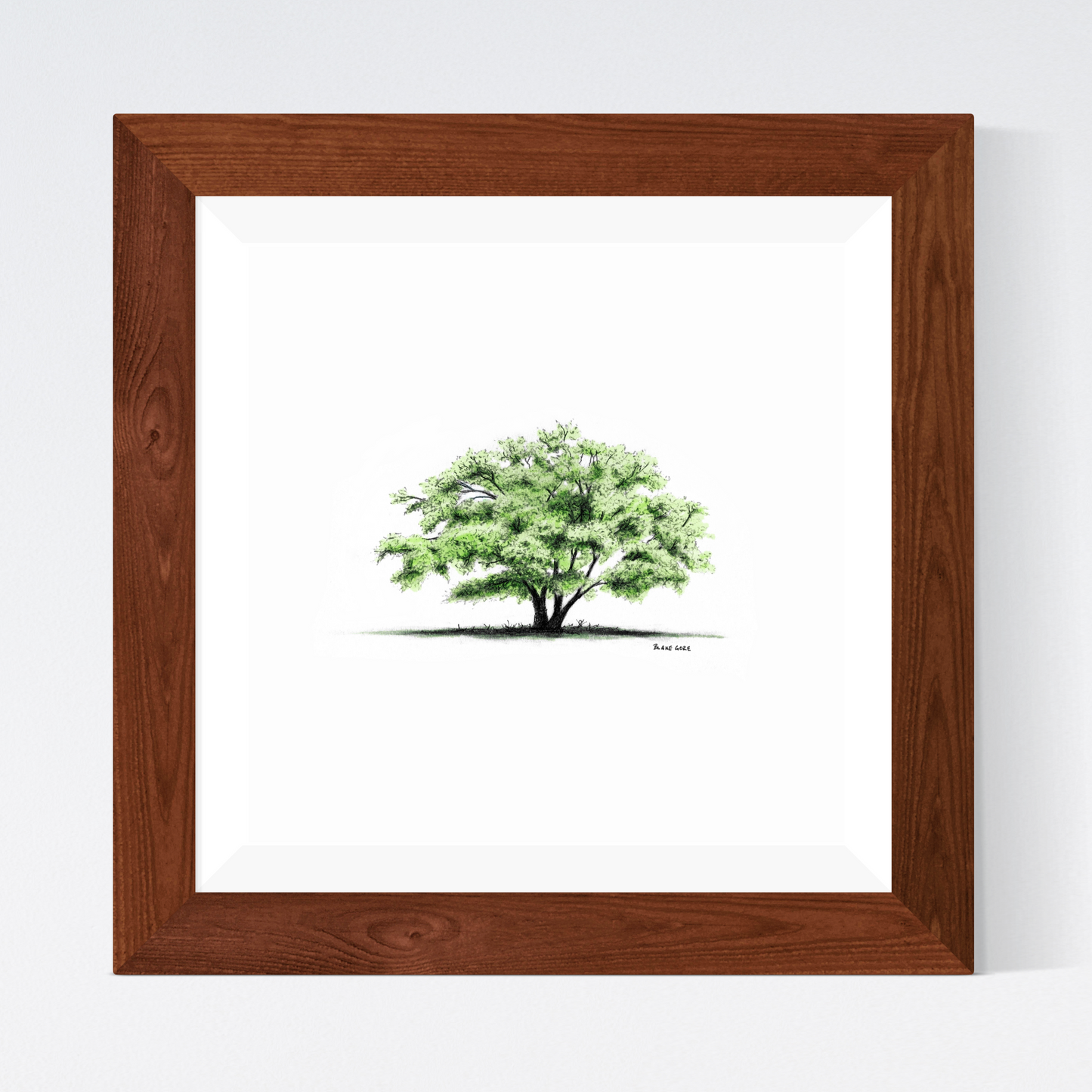 Green Oak