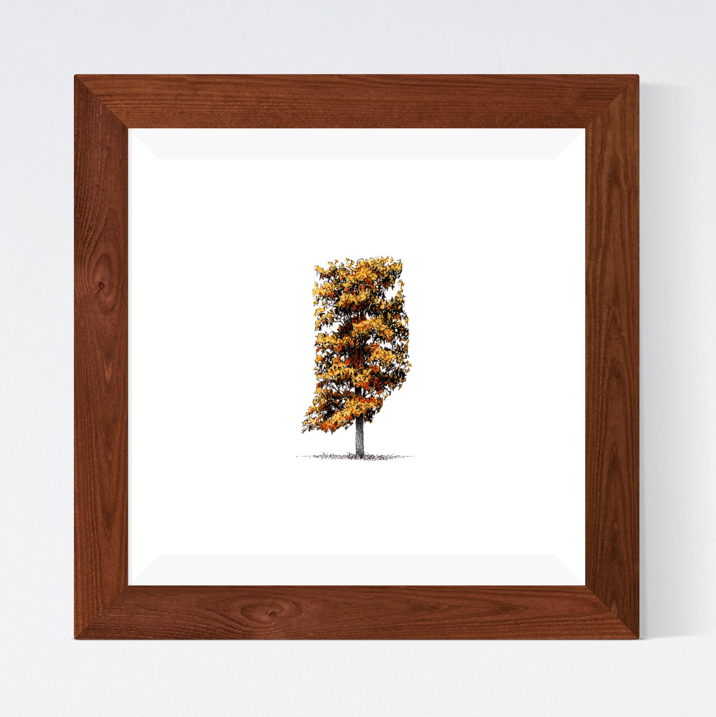 Indiana as a Tulip Tree