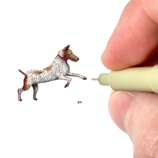 Jack Russell Terrier