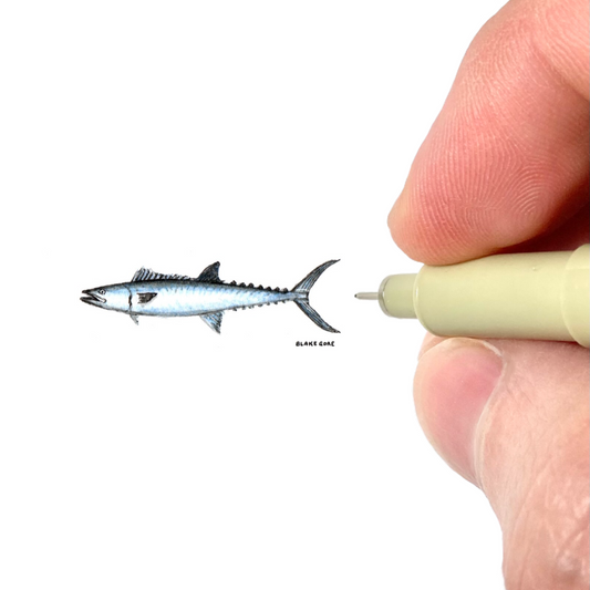 King Mackerel