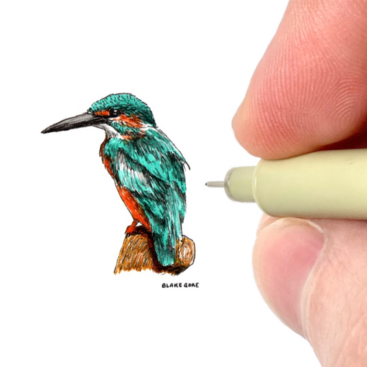 Kingfisher