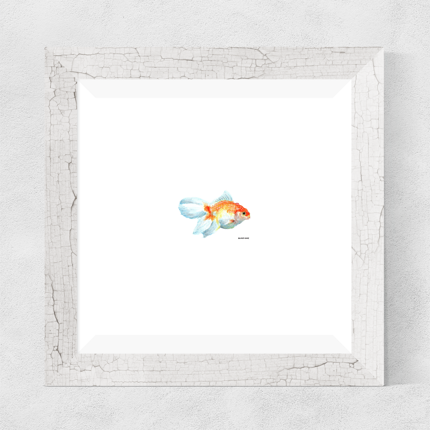 Koi Fish