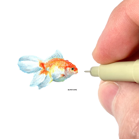 Koi Fish