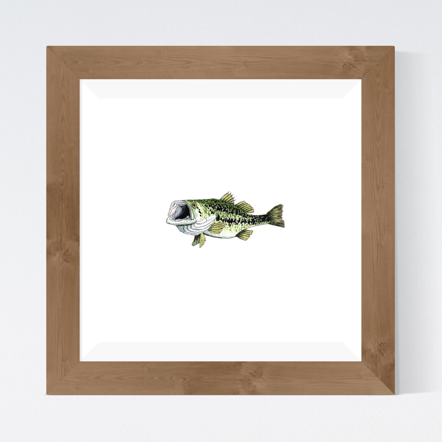 Largemouth Bass