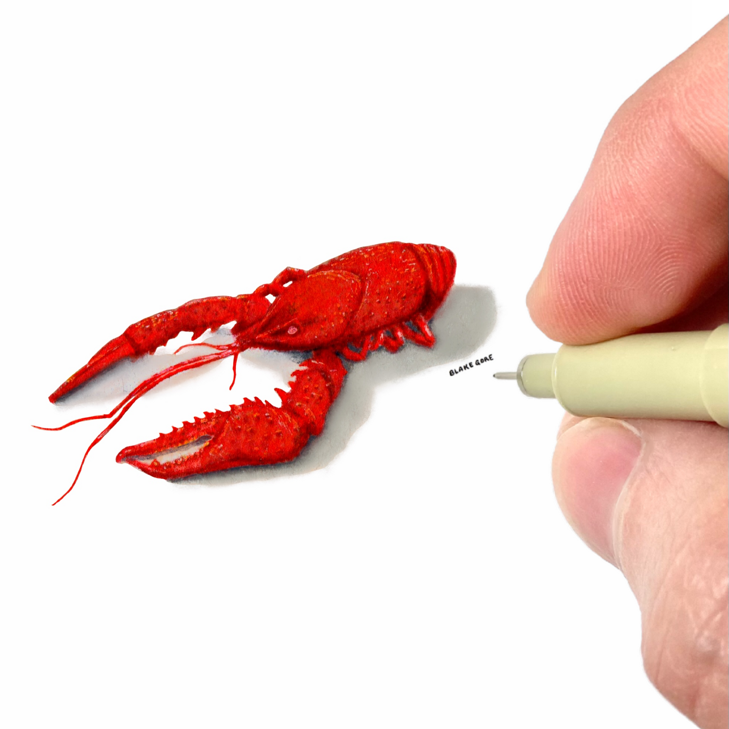 Crawfish