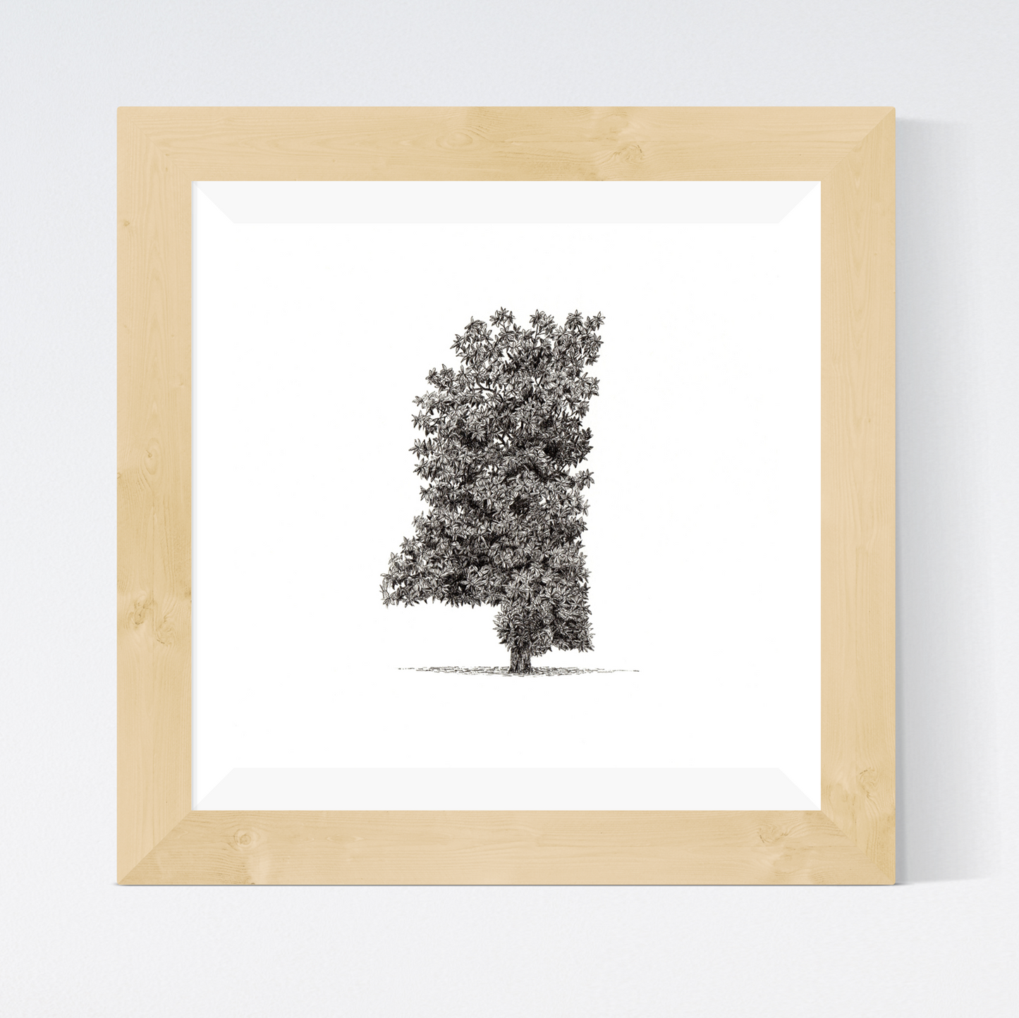 Mississippi as a Magnolia