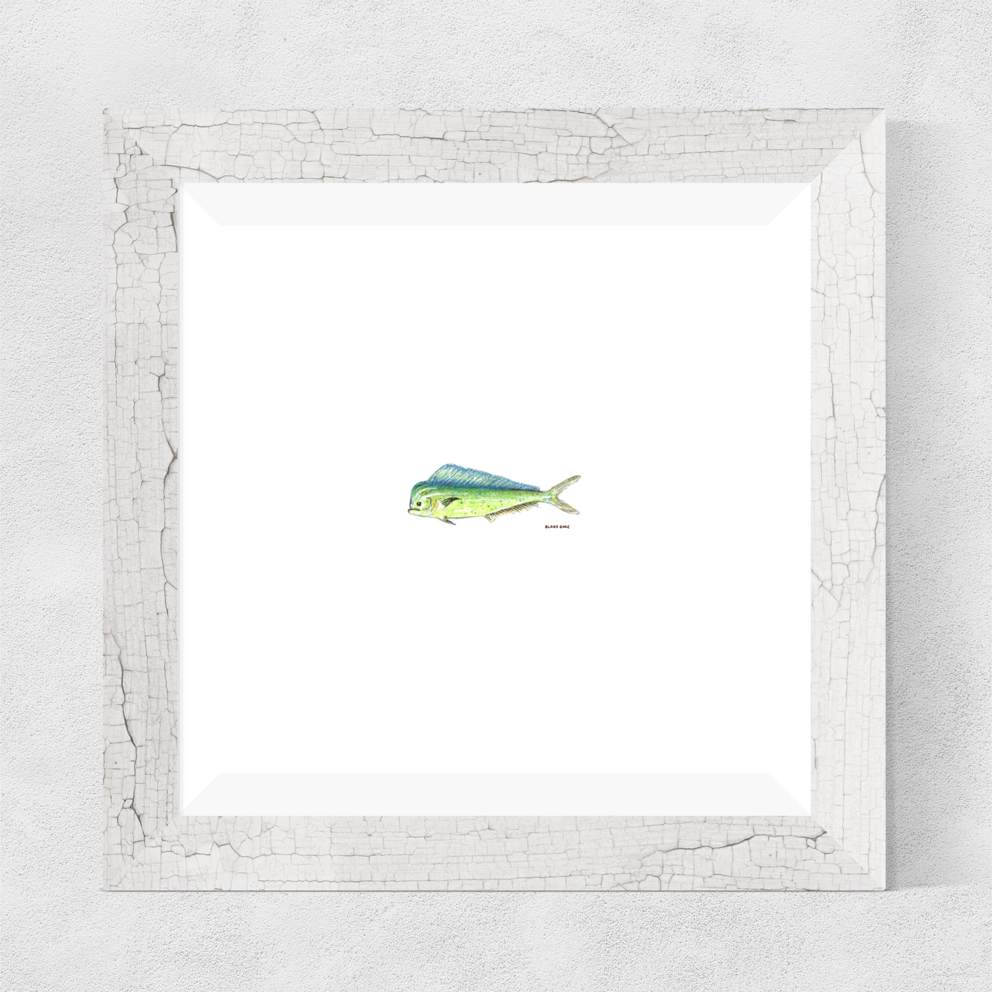Mahi-mahi