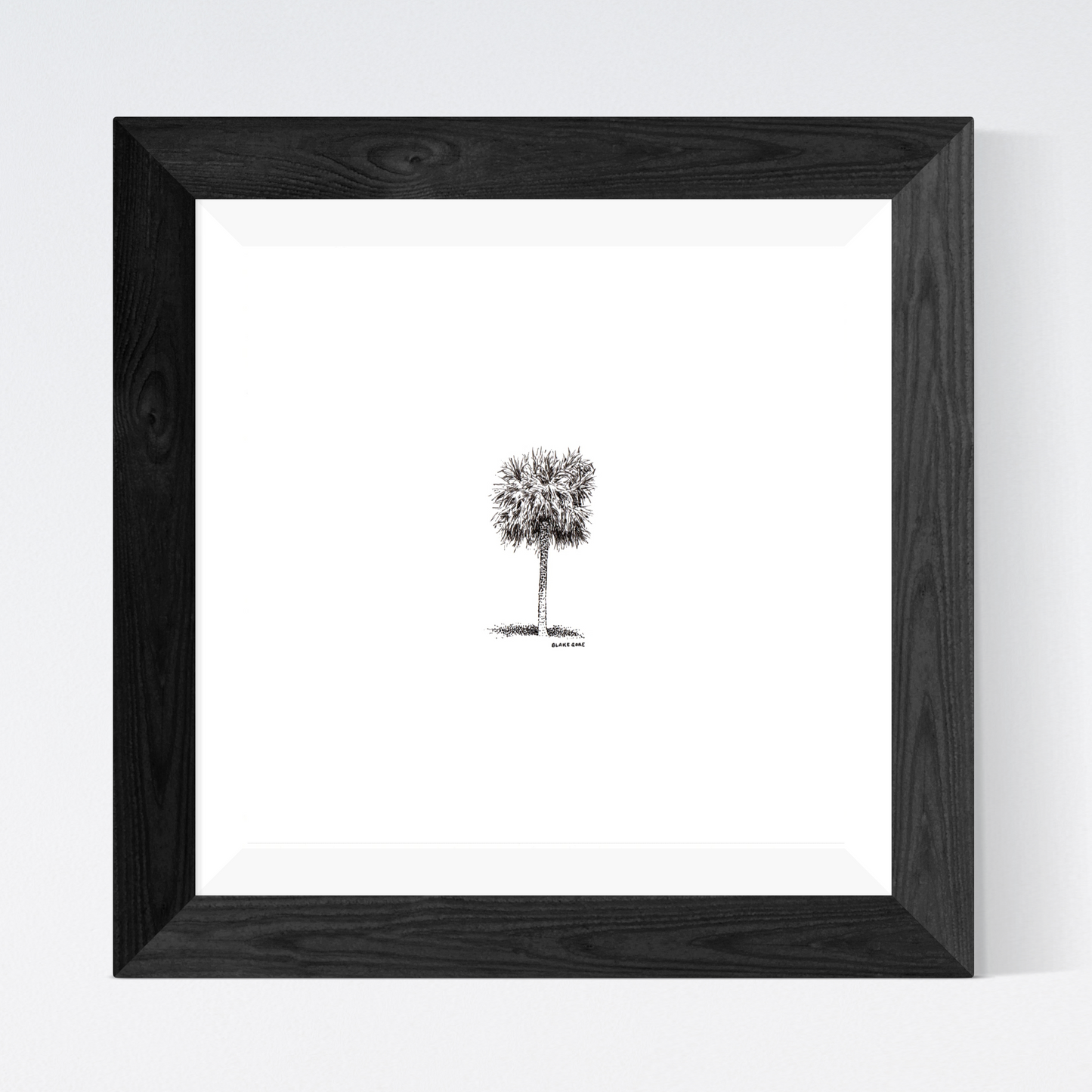 Palm